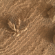 Imagen para el artículo titulado El Rover Curiosity descubre una curiosa roca en forma de flor en Marte